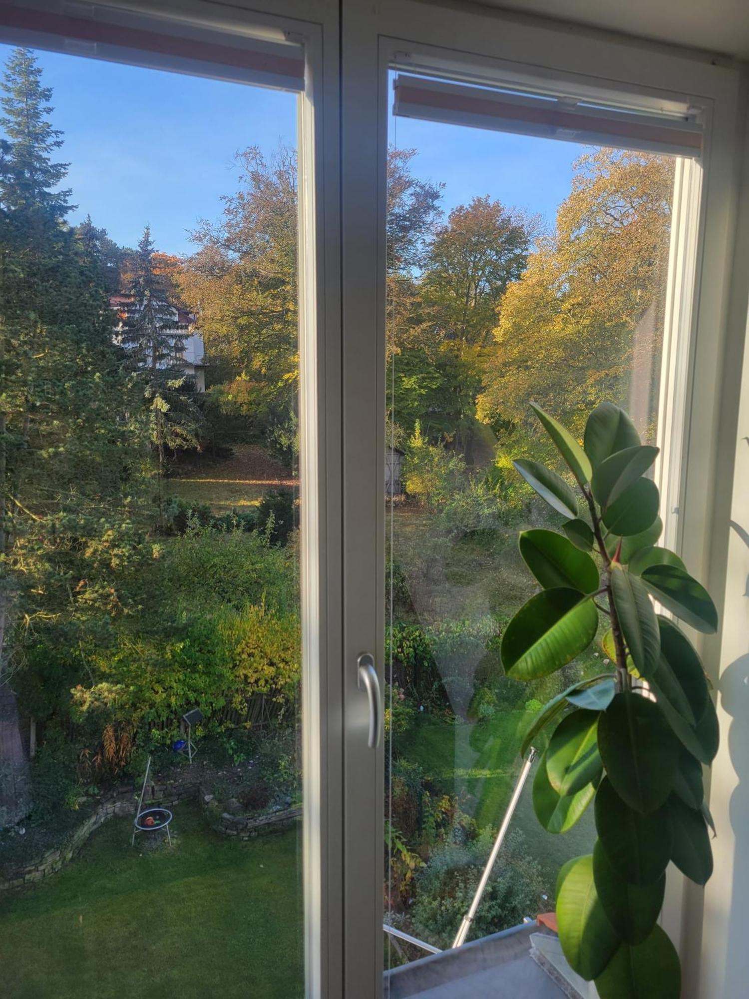 Ferienwohnung Wohnen Am Steiger In Erfurt Sued Exterior foto